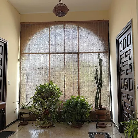 Atico Aguayos Con Terraza Y Parking Privado