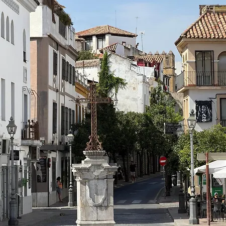 Atico Siglos De Historia Aguayos Con Terraza Apartment *
