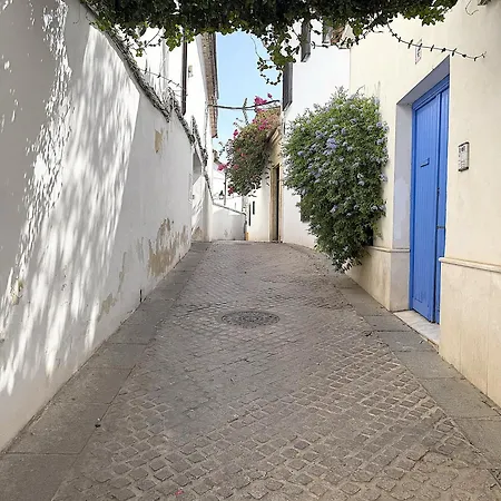 Atico Siglos De Historia Aguayos Con Terraza * Córdoba