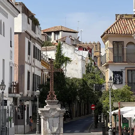 Atico Siglos De Historia Aguayos Con Terraza * Córdoba