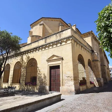 Atico Siglos De Historia Aguayos Con Terraza Apartment