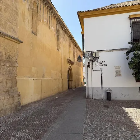 Apartment Atico Siglos De Historia Aguayos Con Terraza *