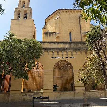 Apartamento Atico Aguayos Con Terraza Y Parking Privado