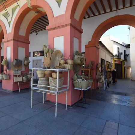 Atico Aguayos Con Parking Gratis